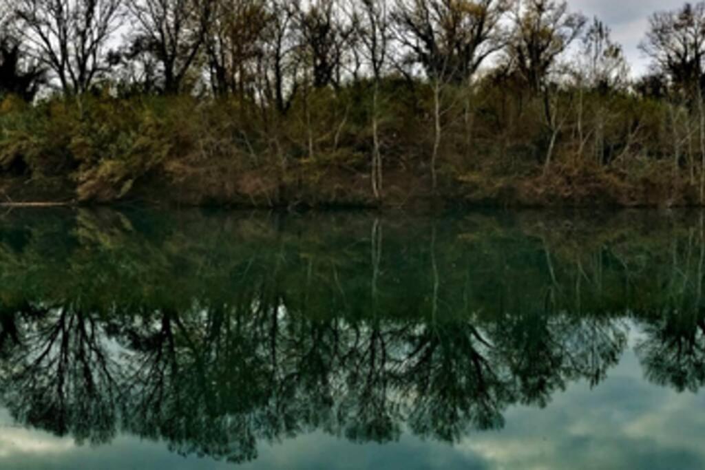 Studio entre Cévennes et Camargue Montfrin Esterno foto