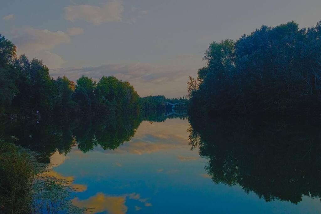 Studio entre Cévennes et Camargue Montfrin Esterno foto